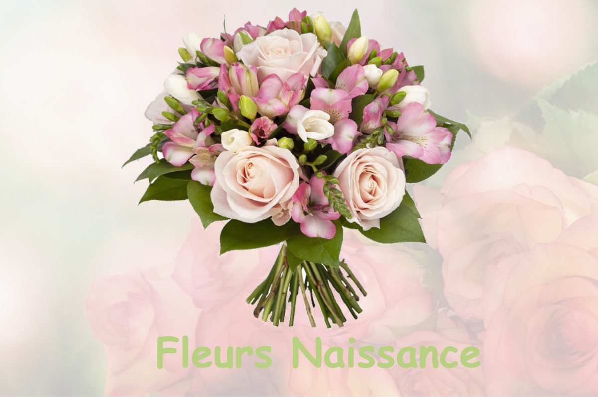 fleurs naissance FOAMEIX-ORNEL