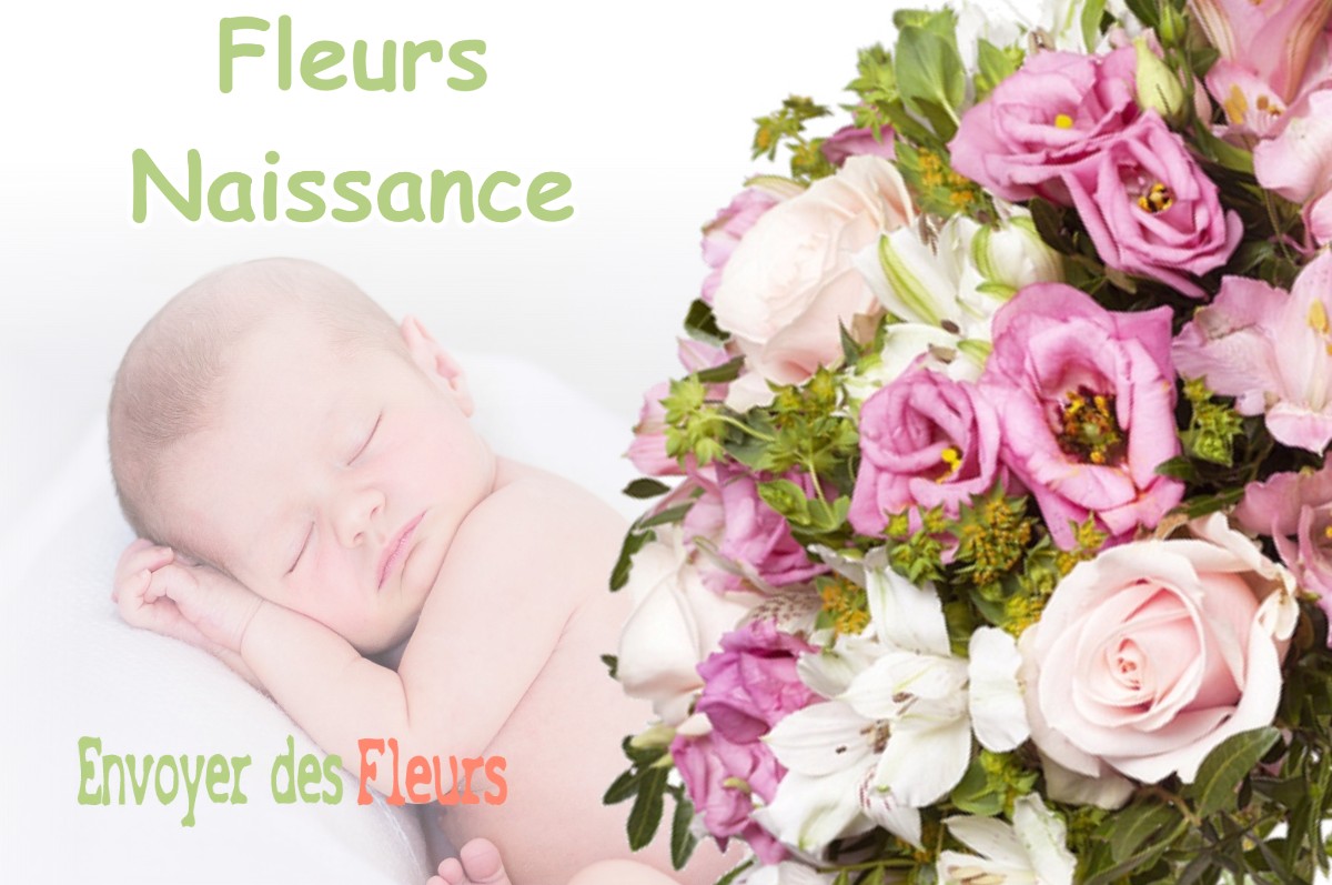 lIVRAISON FLEURS NAISSANCE à FOAMEIX-ORNEL